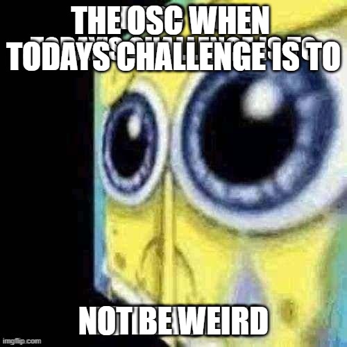 rah | THE OSC WHEN 
TODAYS CHALLENGE IS TO; NOT BE WEIRD | image tagged in the osc when | made w/ Imgflip meme maker