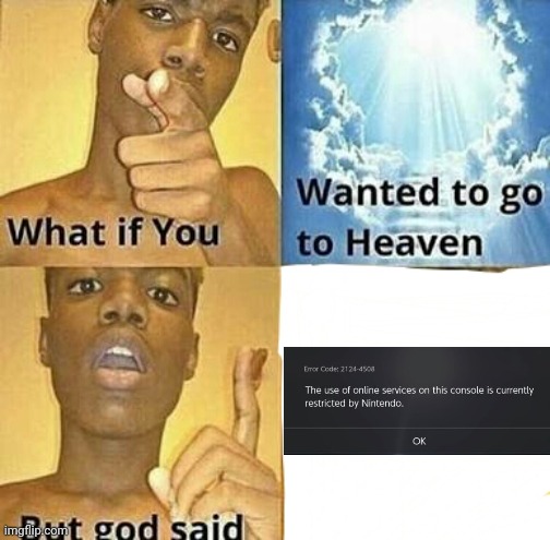 POV: you have homebrew | image tagged in what if you wanted to go to heaven,nintendo,nintendo switch | made w/ Imgflip meme maker