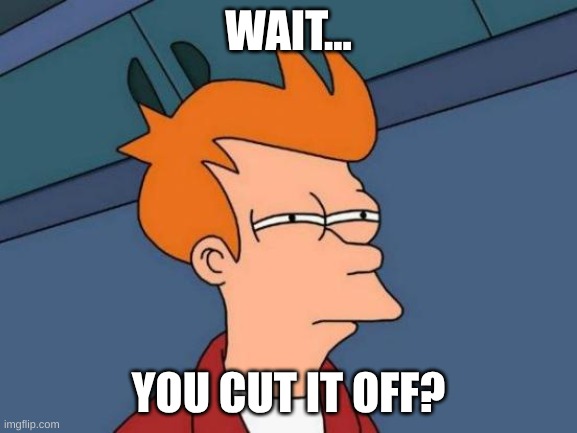Futurama Fry Meme | WAIT... YOU CUT IT OFF? | image tagged in memes,futurama fry | made w/ Imgflip meme maker