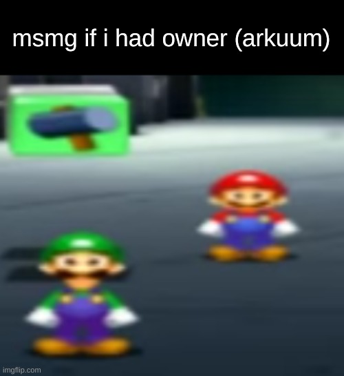 i just ruined my 0.01% chance of getting owner | msmg if i had owner (arkuum) | image tagged in mario bros stare | made w/ Imgflip meme maker