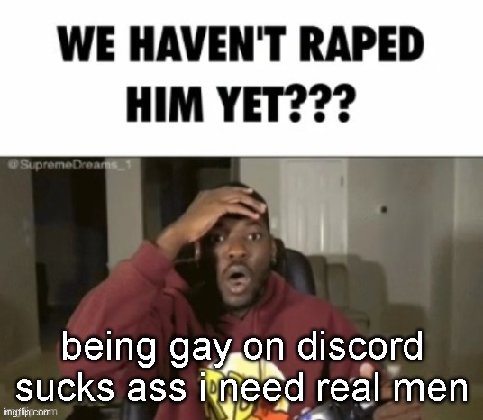 kill me for this | being gay on discord sucks ass i need real men | image tagged in we have not | made w/ Imgflip meme maker