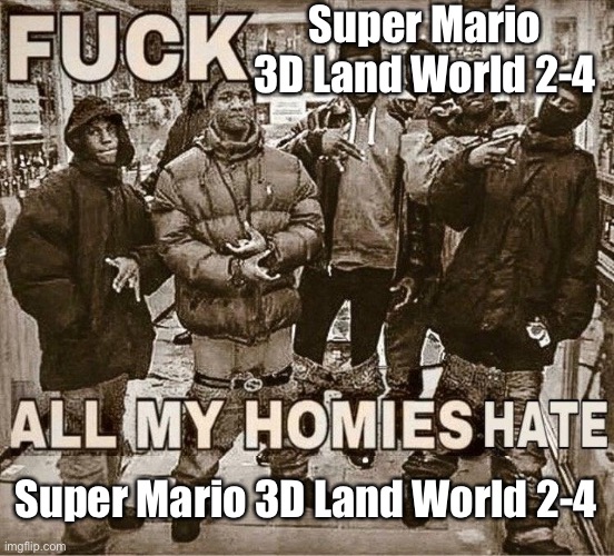 All My Homies Hate | Super Mario 3D Land World 2-4; Super Mario 3D Land World 2-4 | image tagged in all my homies hate | made w/ Imgflip meme maker