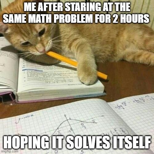 math problem | ME AFTER STARING AT THE SAME MATH PROBLEM FOR 2 HOURS; HOPING IT SOLVES ITSELF | image tagged in memes | made w/ Imgflip meme maker