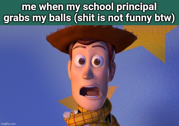 Woody Toy Story | me when my school principal grabs my balls (shit is not funny btw) | image tagged in woody toy story | made w/ Imgflip meme maker