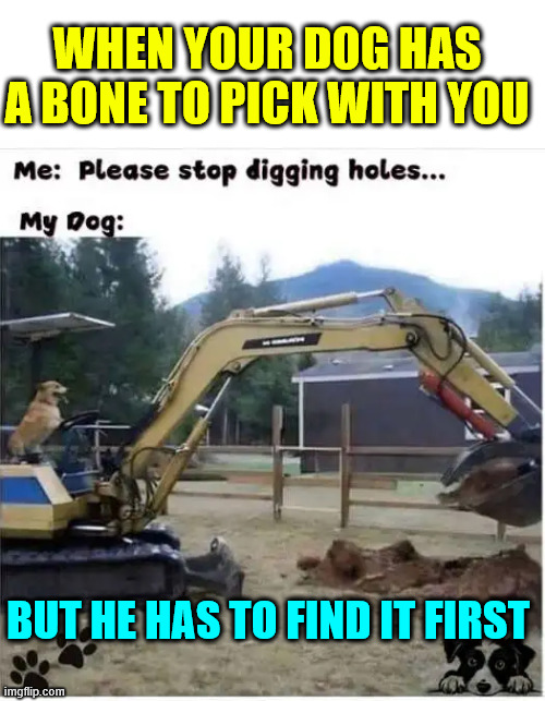 Dog Bone | WHEN YOUR DOG HAS A BONE TO PICK WITH YOU; BUT HE HAS TO FIND IT FIRST | image tagged in eyeroll,dog bone | made w/ Imgflip meme maker