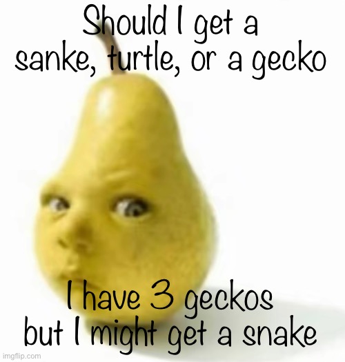 Da pear baby | Should I get a snake, turtle, or a gecko; I have 3 geckos but I might get a snake | image tagged in da pear baby | made w/ Imgflip meme maker