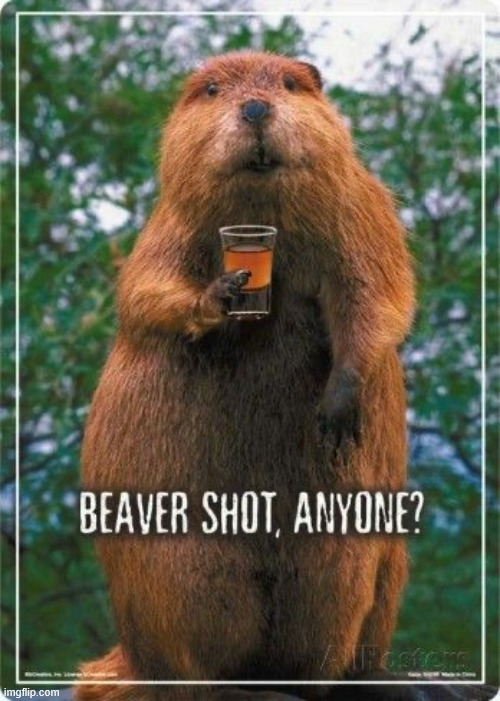 It's the weekend | image tagged in memes,beaver shot,weekend | made w/ Imgflip meme maker