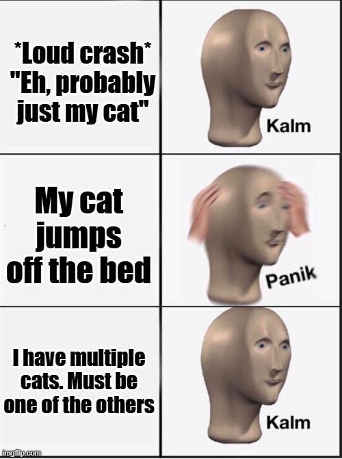 Reverse kalm panik | *Loud crash*
"Eh, probably just my cat" My cat jumps off the bed I have multiple cats. Must be one of the others | image tagged in reverse kalm panik | made w/ Imgflip meme maker