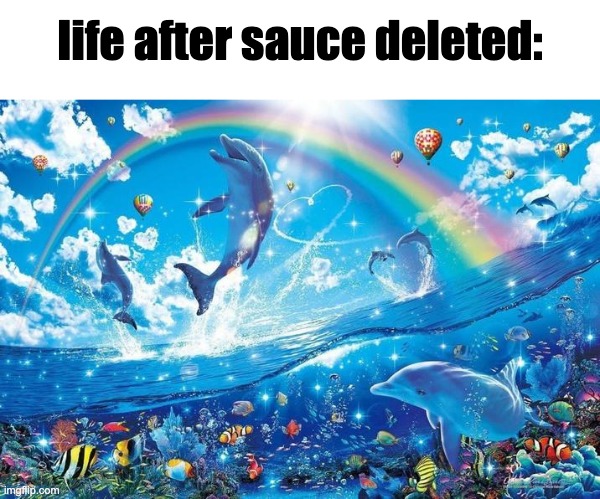 . | life after sauce deleted: | image tagged in happy dolphin rainbow | made w/ Imgflip meme maker