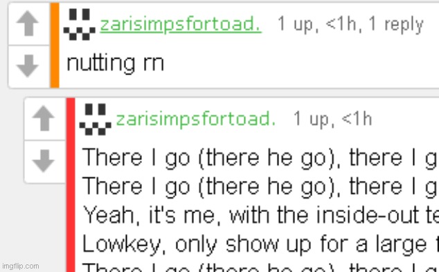 zaricore | image tagged in zaricore | made w/ Imgflip meme maker