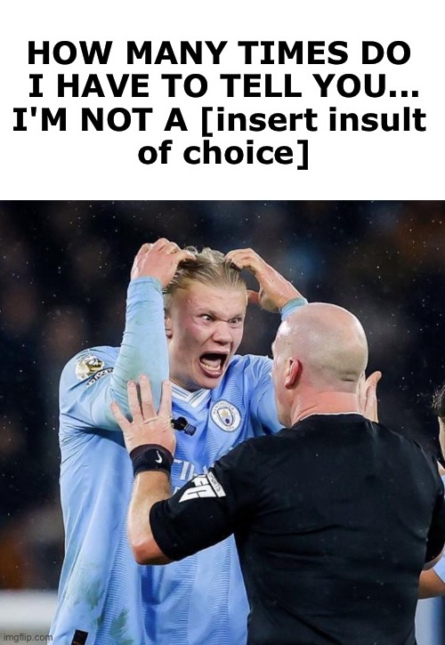 lmfao | HOW MANY TIMES DO 
I HAVE TO TELL YOU...
I'M NOT A [insert insult 
of choice] | image tagged in angry haaland | made w/ Imgflip meme maker