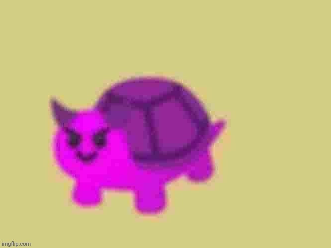 new turtle just dropped | image tagged in low quality devil turtle | made w/ Imgflip meme maker