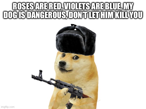 ROSES ARE RED, VIOLETS ARE BLUE, MY DOG IS DANGEROUS, DON’T LET HIM KILL YOU | image tagged in memes,dogs,funny,dank memes,doge,death battle | made w/ Imgflip meme maker