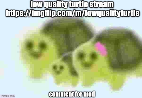 low quality turtle family | low quality turtle stream  https://imgflip.com/m/lowqualityturtle; comment for mod | image tagged in low quality turtle family | made w/ Imgflip meme maker