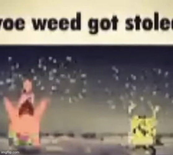 oe weed got stole | image tagged in oe weed hot stole | made w/ Imgflip meme maker