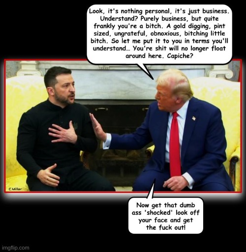 In a perfect world... | image tagged in president trump,donald trump,zelensky,ukraine,politics | made w/ Imgflip meme maker