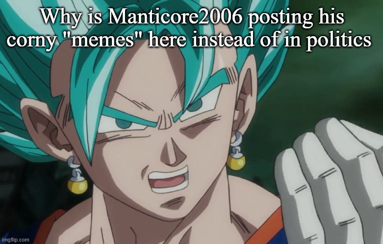 MLG Vegito | Why is Manticore2006 posting his corny "memes" here instead of in politics | image tagged in mlg vegito | made w/ Imgflip meme maker