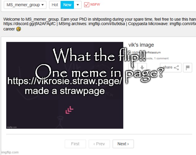 What the flip!! One meme in page? | made w/ Imgflip meme maker