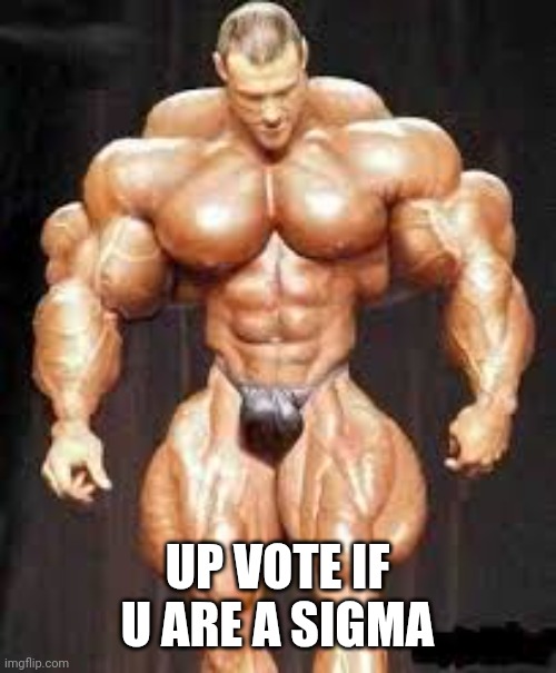 Bodybuilding | UP VOTE IF U ARE A SIGMA | image tagged in bodybuilding | made w/ Imgflip meme maker