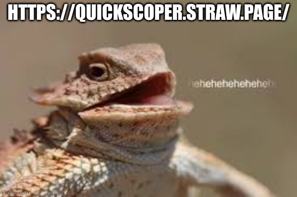 image not being up at 12:30 am heh made a strawpage cause why not | HTTPS://QUICKSCOPER.STRAW.PAGE/ | image tagged in heheheheh dragon,straw,hot page | made w/ Imgflip meme maker