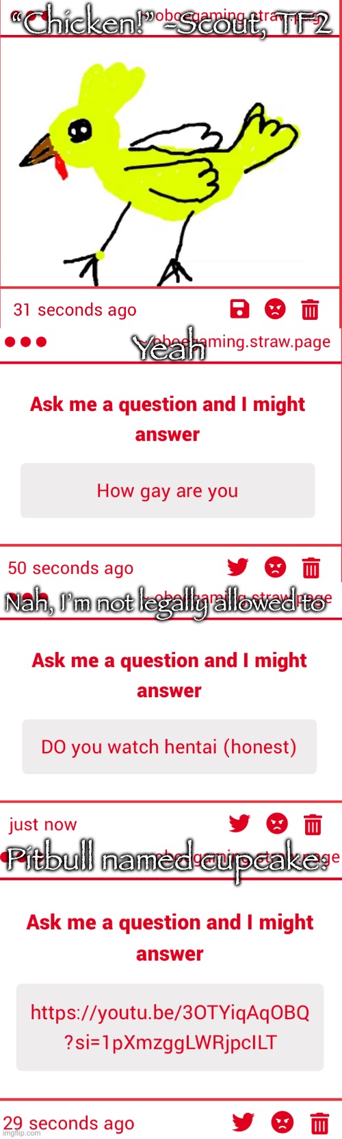 Gonna start answering these in bulk to avoid spam | “Chicken!” -Scout, TF2; Yeah; Nah, I’m not legally allowed to; Pitbull named cupcake: | made w/ Imgflip meme maker