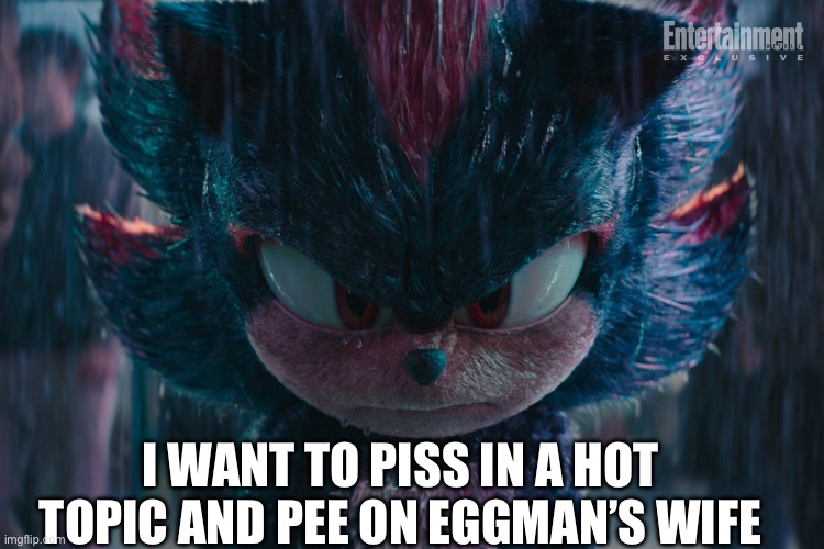 Depressed shadow | I WANT TO PISS IN A HOT TOPIC AND PEE ON EGGMAN’S WIFE | image tagged in depressed shadow | made w/ Imgflip meme maker