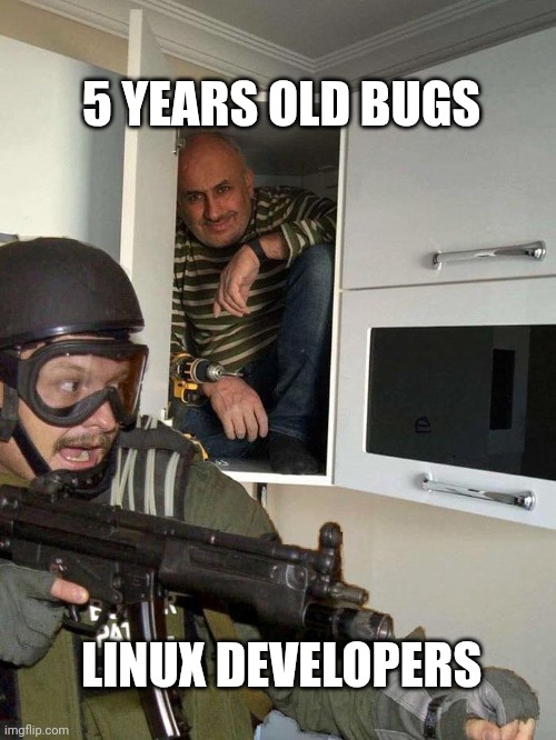 Linux developers cant find bugs | 5 YEARS OLD BUGS; LINUX DEVELOPERS | image tagged in man hiding in cabinet | made w/ Imgflip meme maker