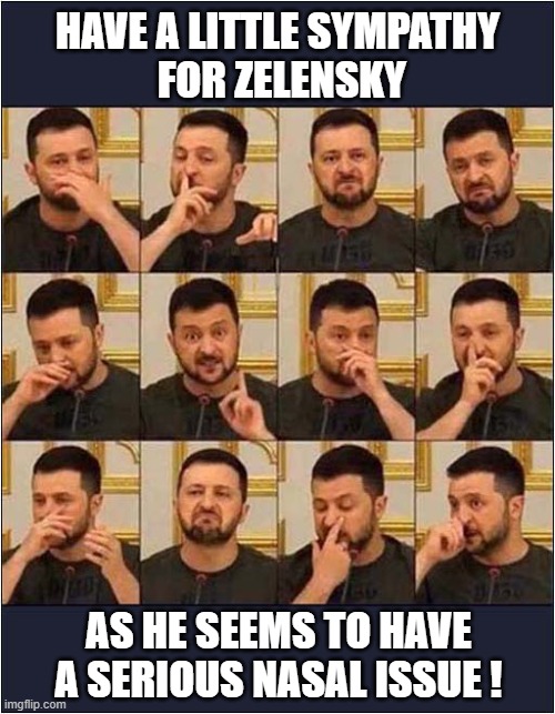 It's Not Going Well For Volodymyr ! | HAVE A LITTLE SYMPATHY
 FOR ZELENSKY; AS HE SEEMS TO HAVE A SERIOUS NASAL ISSUE ! | image tagged in zelensky,nasal,politics | made w/ Imgflip meme maker