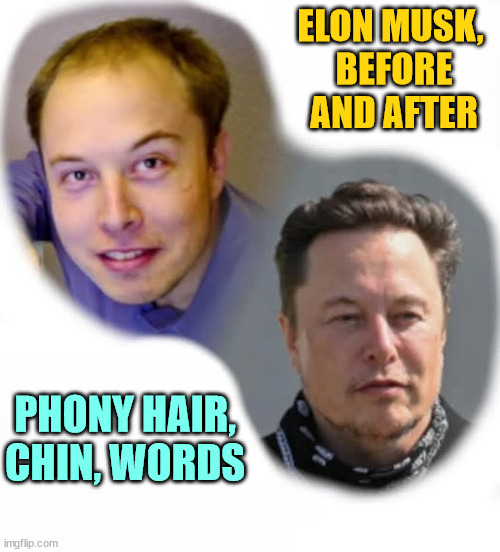 The Ketamine Kid rides again | ELON MUSK, 
BEFORE AND AFTER; PHONY HAIR, CHIN, WORDS | image tagged in elon musk phony hair chin words,elon musk,liar,phony,greedy,cheat | made w/ Imgflip meme maker