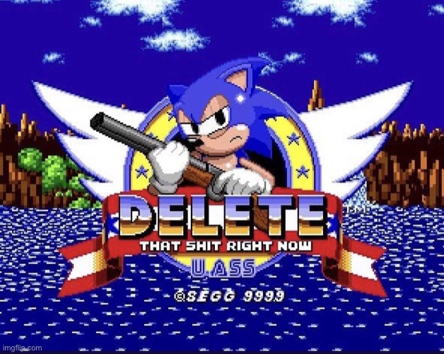 Sonic: DELETE THAT SH*T RIGHT NOW. U A$$ | image tagged in sonic delete that sh t right now u a | made w/ Imgflip meme maker