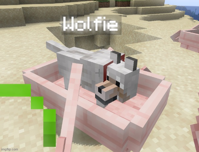 This is Wolfie, and he is the oldest Minecraft dog, bred in 2011 in 2B2T and is currently 14 years old. | image tagged in wolfie | made w/ Imgflip meme maker