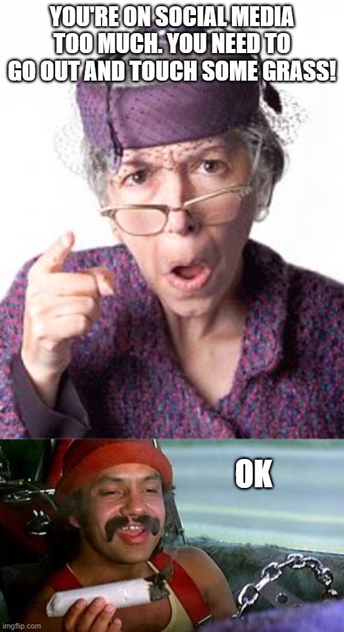 BLAZIN | YOU'RE ON SOCIAL MEDIA TOO MUCH. YOU NEED TO GO OUT AND TOUCH SOME GRASS! OK | image tagged in cheech and chong blunt,old lady,dope,marijuana,social media | made w/ Imgflip meme maker