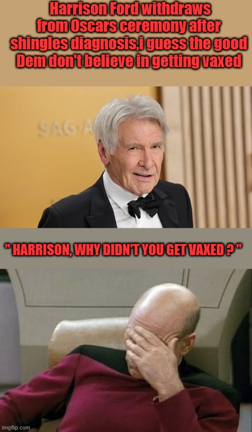 " Ouch " shingles vax is safe & effective. follow the science. | Harrison Ford withdraws from Oscars ceremony after shingles diagnosis,i guess the good Dem don't believe in getting vaxed; " HARRISON, WHY DIDN'T YOU GET VAXED ? " | image tagged in memes,captain picard facepalm | made w/ Imgflip meme maker