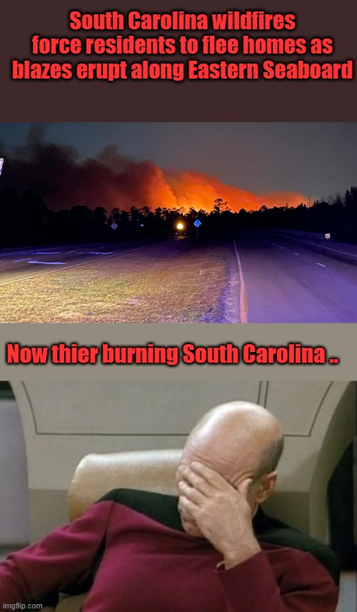 They sure like that beach properties. | South Carolina wildfires force residents to flee homes as blazes erupt along Eastern Seaboard; Now thier burning South Carolina .. | image tagged in memes,captain picard facepalm | made w/ Imgflip meme maker