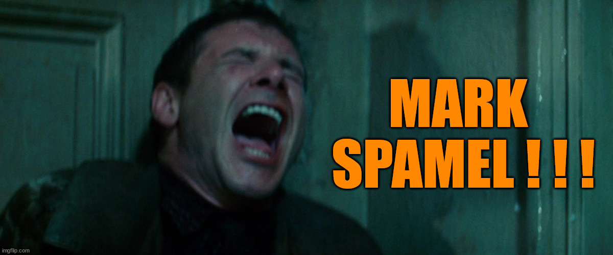 Harrison Ford in Pain | MARK
 SPAMEL ! ! ! | image tagged in harrison ford in pain | made w/ Imgflip meme maker