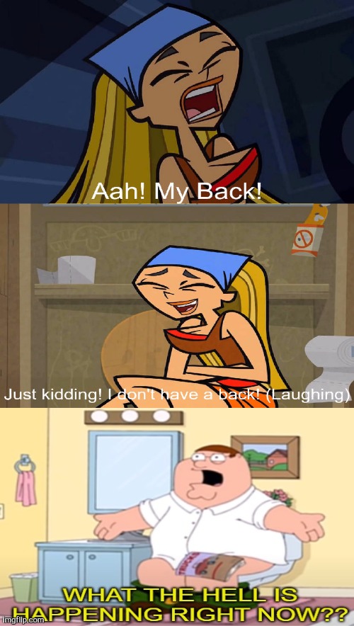 Improving Fill-In "Memes" Episode 1 | image tagged in who laughs at lindsay doesn't have a back | made w/ Imgflip meme maker