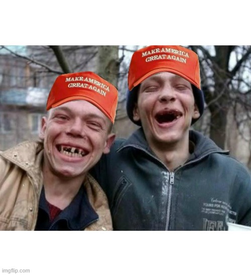 MAGA Meth Heads | image tagged in maga meth heads | made w/ Imgflip meme maker