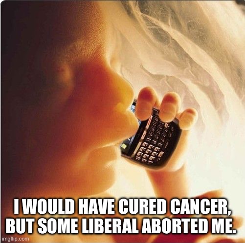 Baby in womb on cell phone - fetus blackberry | I WOULD HAVE CURED CANCER, BUT SOME LIBERAL ABORTED ME. | image tagged in baby in womb on cell phone - fetus blackberry | made w/ Imgflip meme maker