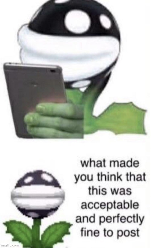 Piranha Plant | image tagged in piranha plant | made w/ Imgflip meme maker