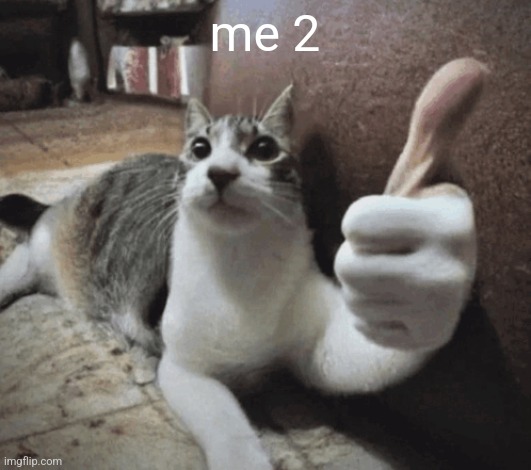 cat thumbs up | me 2 | image tagged in cat thumbs up | made w/ Imgflip meme maker