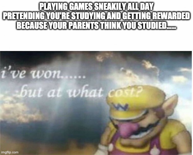 I won but at what cost | PLAYING GAMES SNEAKILY ALL DAY PRETENDING YOU'RE STUDYING AND GETTING REWARDED BECAUSE YOUR PARENTS THINK YOU STUDIED...... | image tagged in i won but at what cost | made w/ Imgflip meme maker