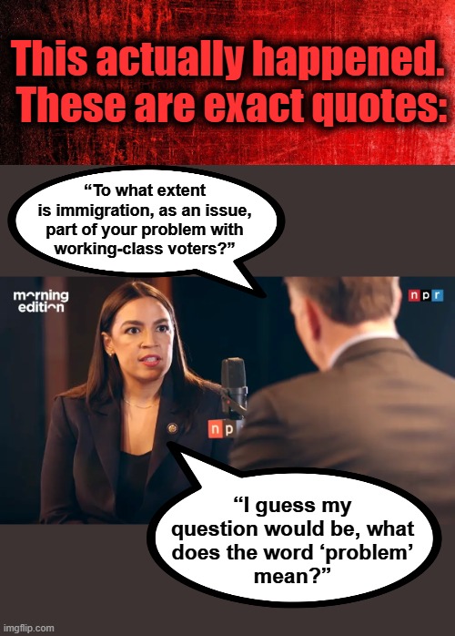 What are democrats?  Here's your answer! | This actually happened.  These are exact quotes:; “To what extent
is immigration, as an issue,
part of your problem with
working-class voters?”; “I guess my
question would be, what
does the word ‘problem’
mean?” | image tagged in memes,aoc,idiot,democrats,problem,words are hard | made w/ Imgflip meme maker