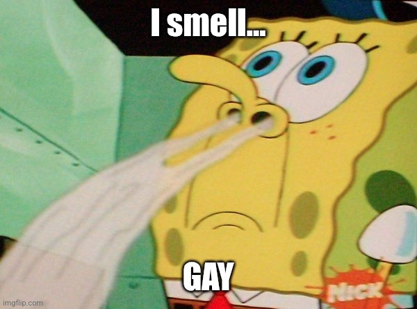 Spongebob Sniff | I smell... GAY | image tagged in spongebob sniff | made w/ Imgflip meme maker