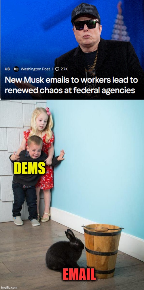 OMG an email.. | DEMS; EMAIL | image tagged in do your job,wimps | made w/ Imgflip meme maker