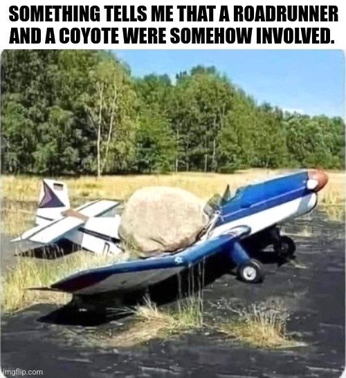 Something Tells Me That A Roadrunner And A Coyote Were Somehow Involved | SOMETHING TELLS ME THAT A ROADRUNNER AND A COYOTE WERE SOMEHOW INVOLVED. | image tagged in chris joines | made w/ Imgflip meme maker