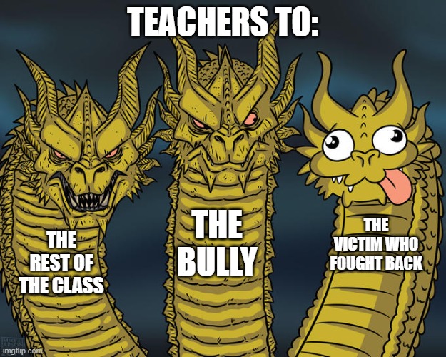 unfair system | TEACHERS TO:; THE BULLY; THE VICTIM WHO FOUGHT BACK; THE REST OF THE CLASS | image tagged in three-headed dragon | made w/ Imgflip meme maker