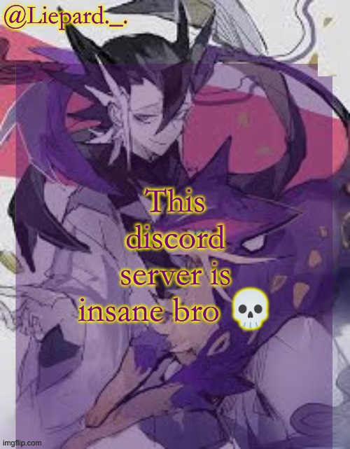 Liepard announcement template | This discord server is insane bro 💀 | image tagged in liepard announcement template | made w/ Imgflip meme maker