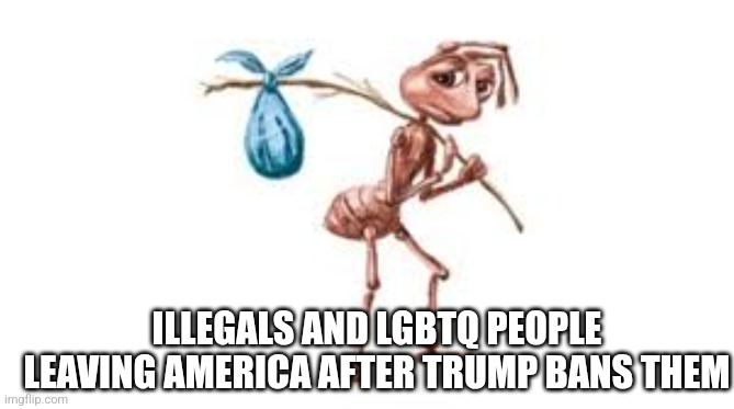 Homeless ant | ILLEGALS AND LGBTQ PEOPLE LEAVING AMERICA AFTER TRUMP BANS THEM | image tagged in homeless ant | made w/ Imgflip meme maker