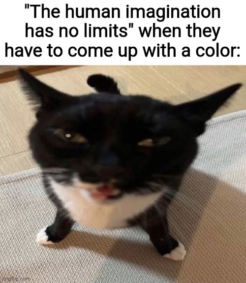 Cat of anger | "The human imagination has no limits" when they have to come up with a color: | image tagged in cat of anger | made w/ Imgflip meme maker