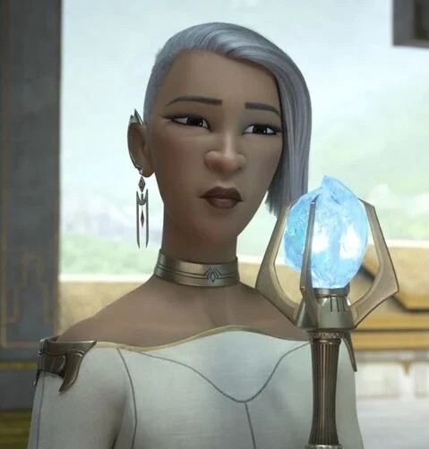 Virana Blank Meme Template